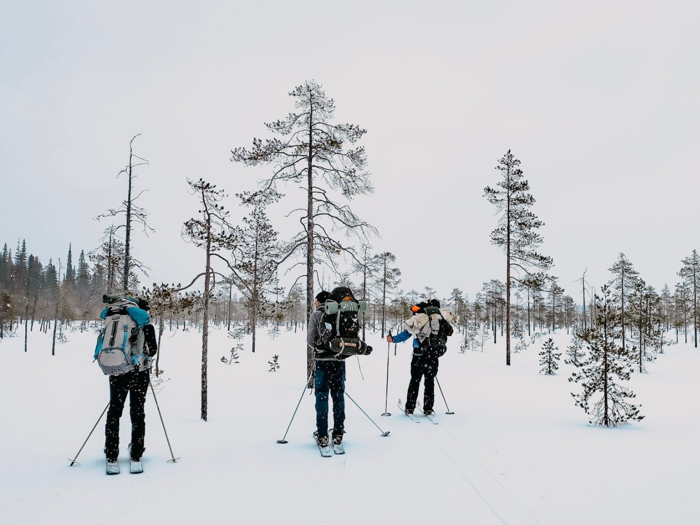 Skiing in Finnish Lapland