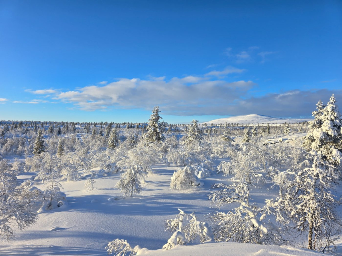 skitour_lapland_finland